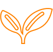 Leaves Icon